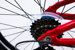 Avalanche Buzz 20" Boys Red
