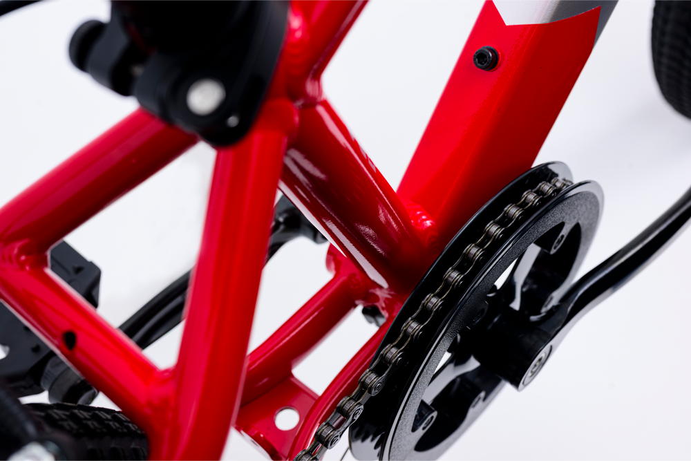Avalanche Buzz 20" Boys Red