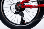 Avalanche Buzz 20" Boys Red