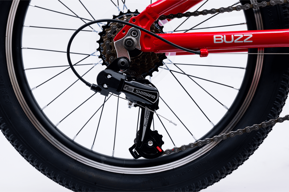 Avalanche Buzz 20" Boys Red