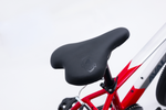 Avalanche Buzz 20" Boys Red