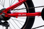 Avalanche Buzz 20" Boys Red