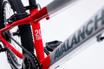Avalanche Buzz 20" Boys Red