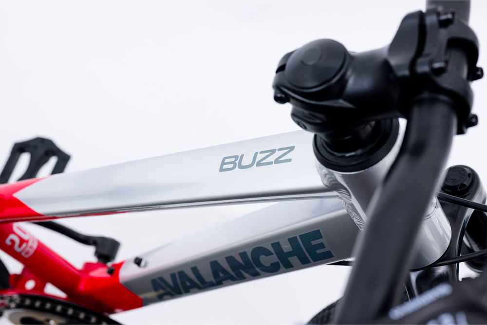 Avalanche Buzz 20" Boys Red