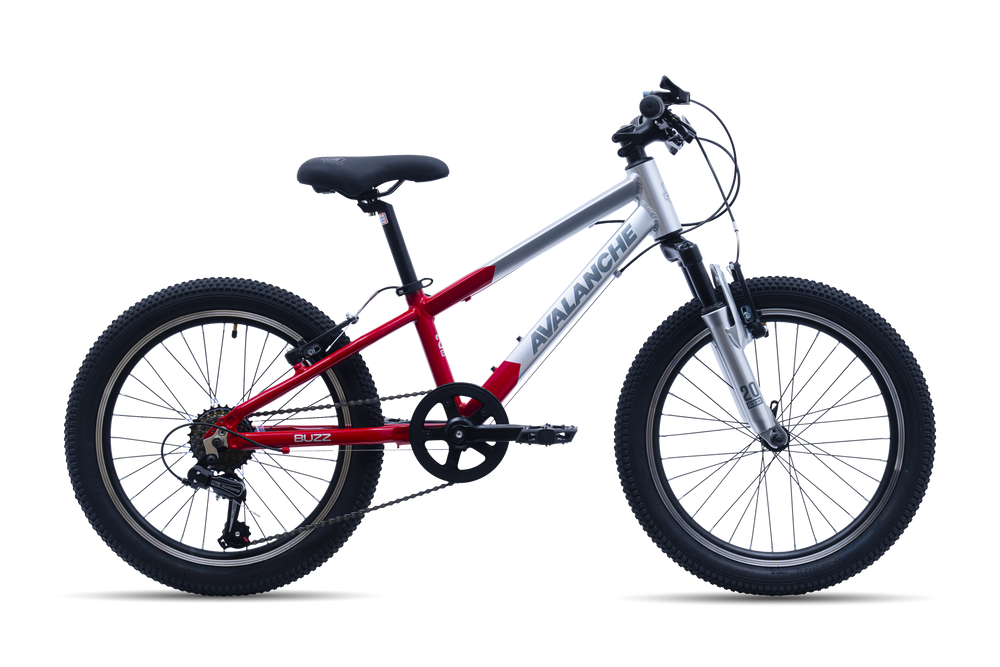 Avalanche Buzz 20" Boys Red
