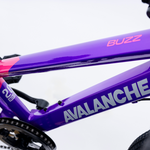 Avalanche Buzz 20inch Girls Purple