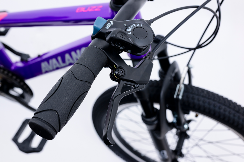 Avalanche Buzz 20inch Girls Purple