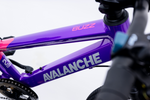 Avalanche Buzz 20inch Girls Purple
