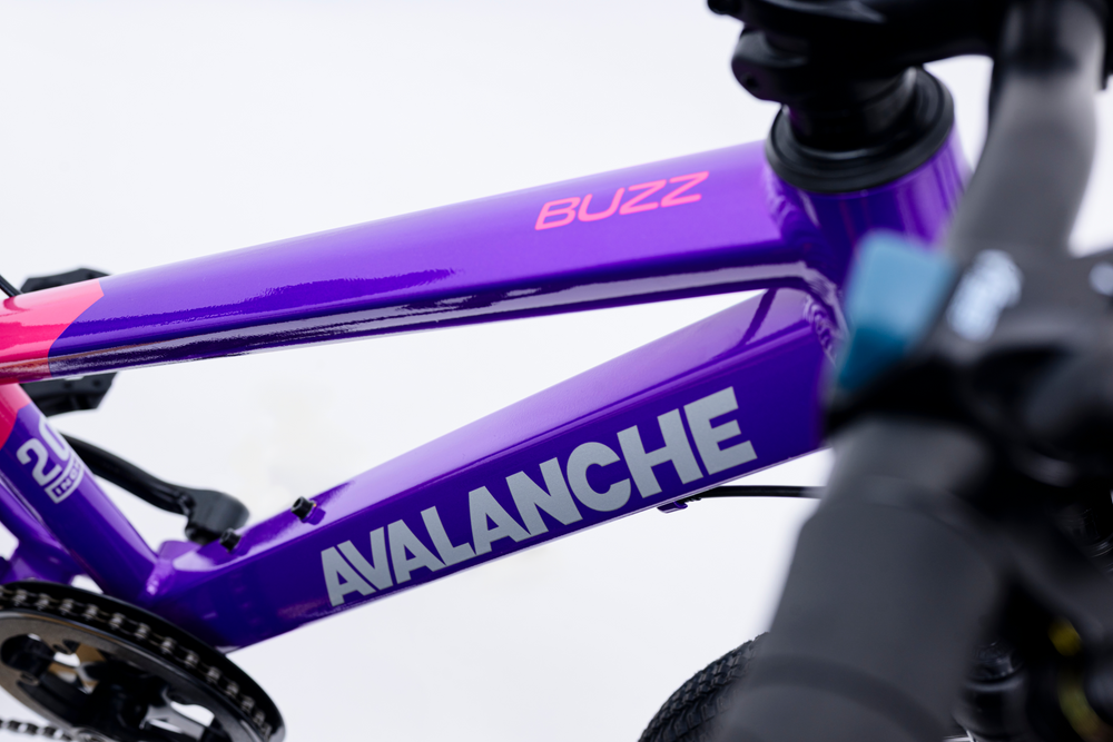 Avalanche Buzz 20inch Girls Purple