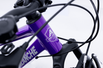 Avalanche Buzz 20inch Girls Purple