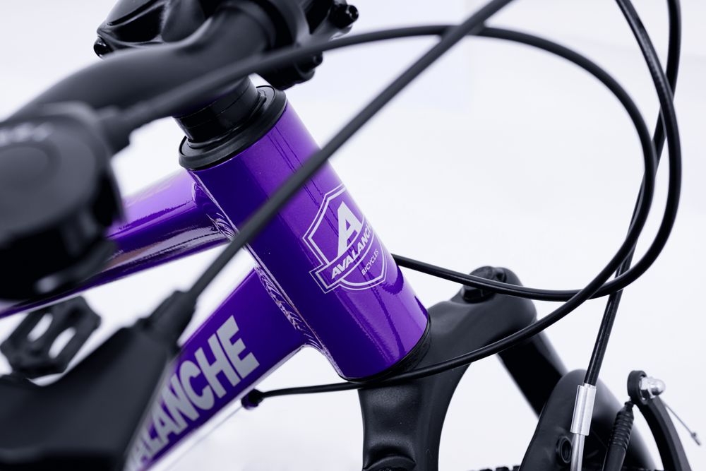 Avalanche Buzz 20inch Girls Purple