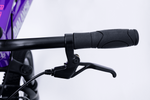 Avalanche Buzz 20inch Girls Purple