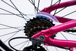 Avalanche Buzz 20inch Girls Purple