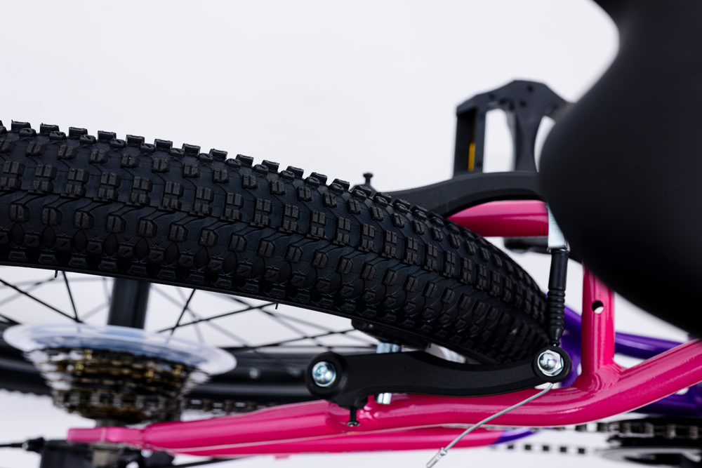 Avalanche Buzz 20inch Girls Purple