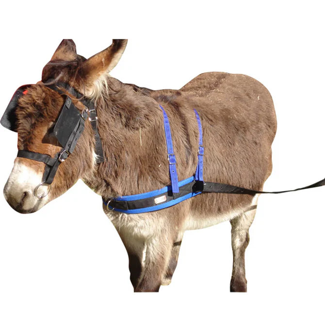 Donkey bridle + bit nylon