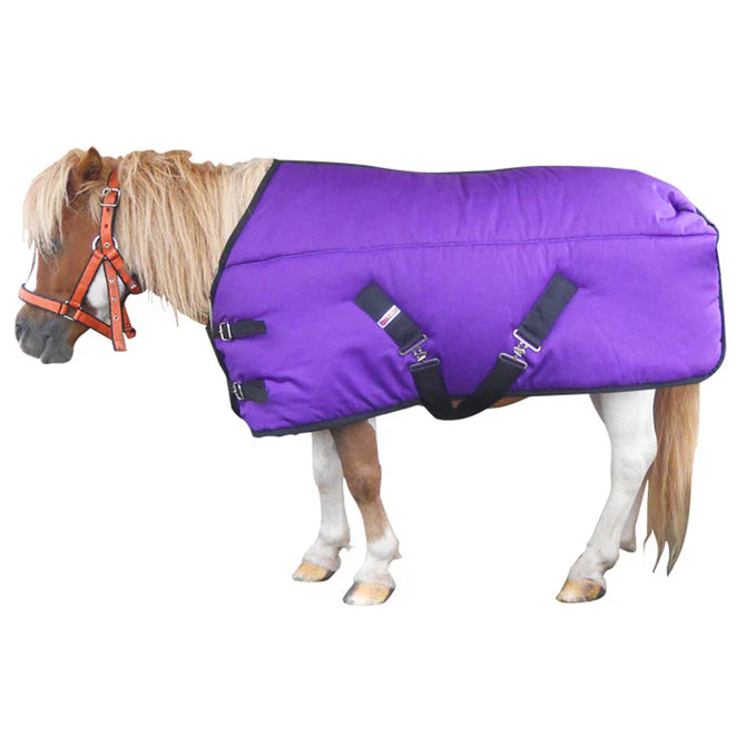 Blanket foal mini