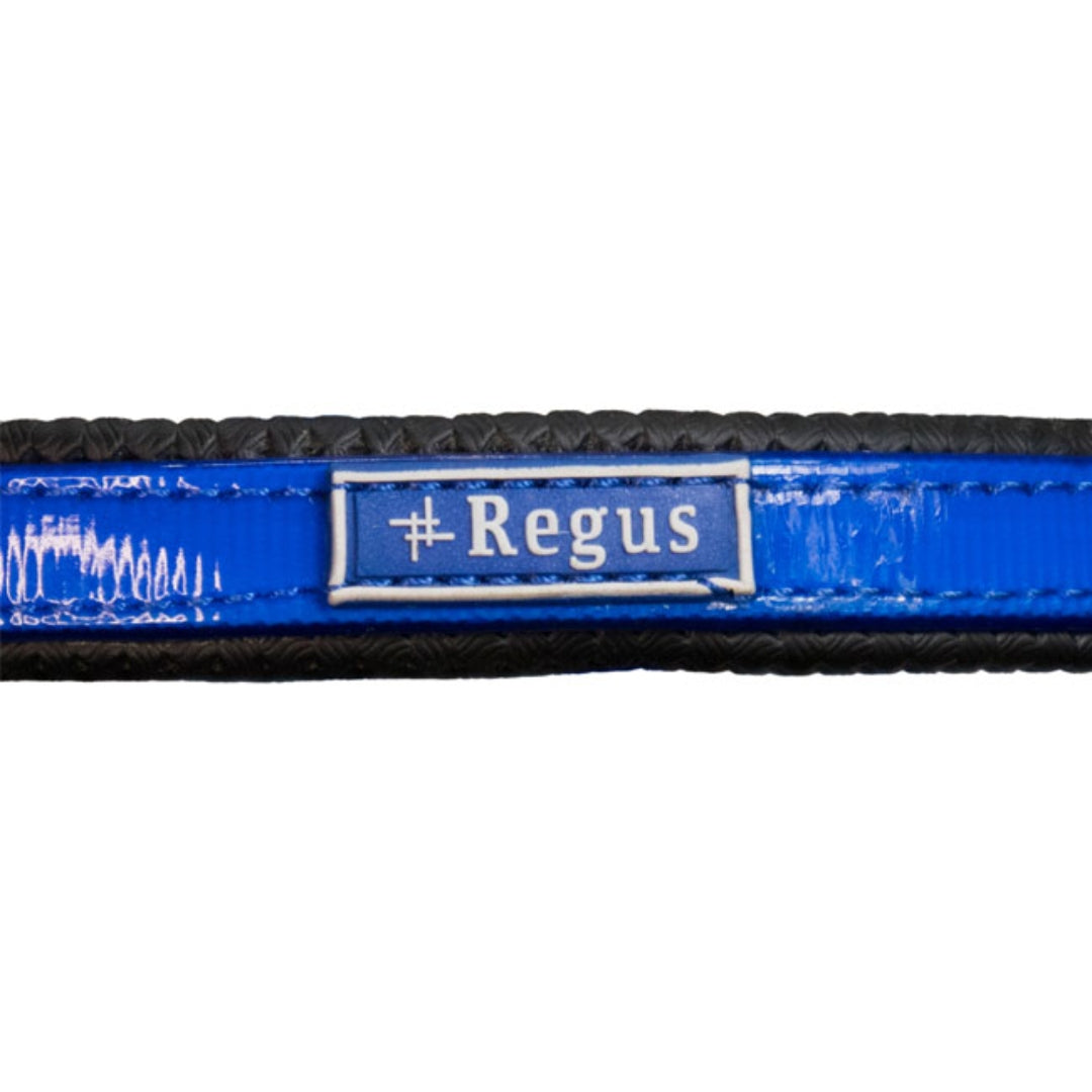 Regus Endurance Bridle & Breastplate Set II