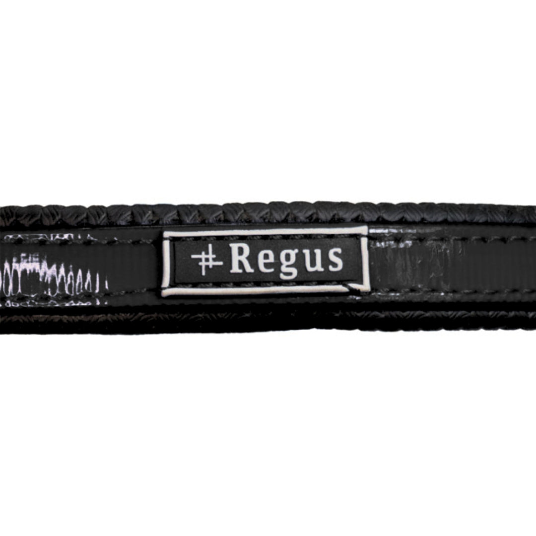 Regus Endurance Bridle & Breastplate Set II