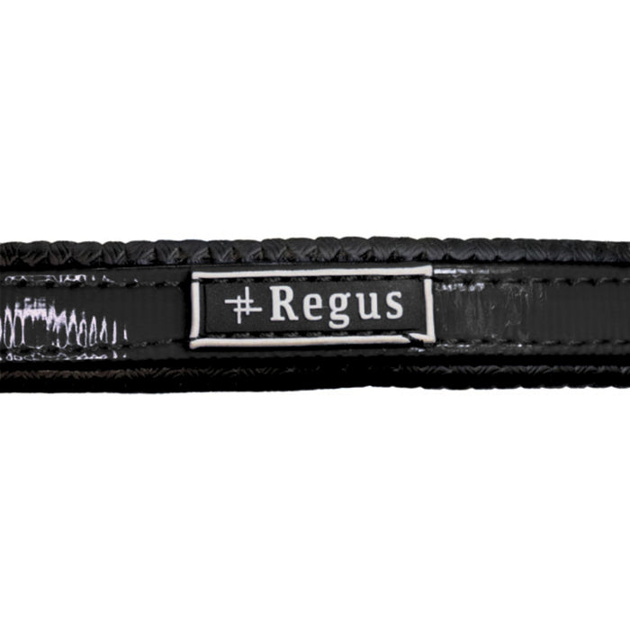 Regus Endurance Bridle & Breastplate Set II