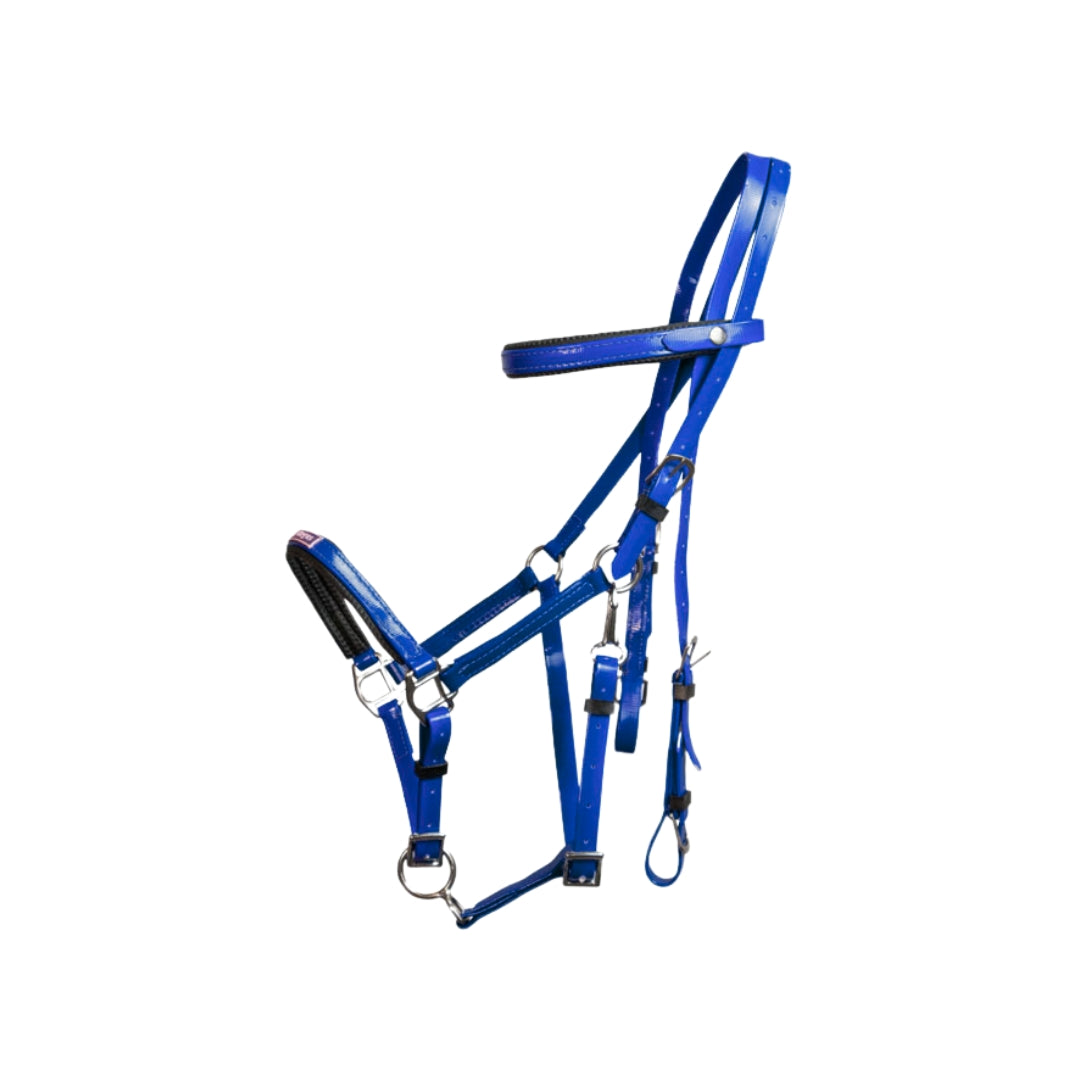 Regus Endurance Bridle & Breastplate Set II