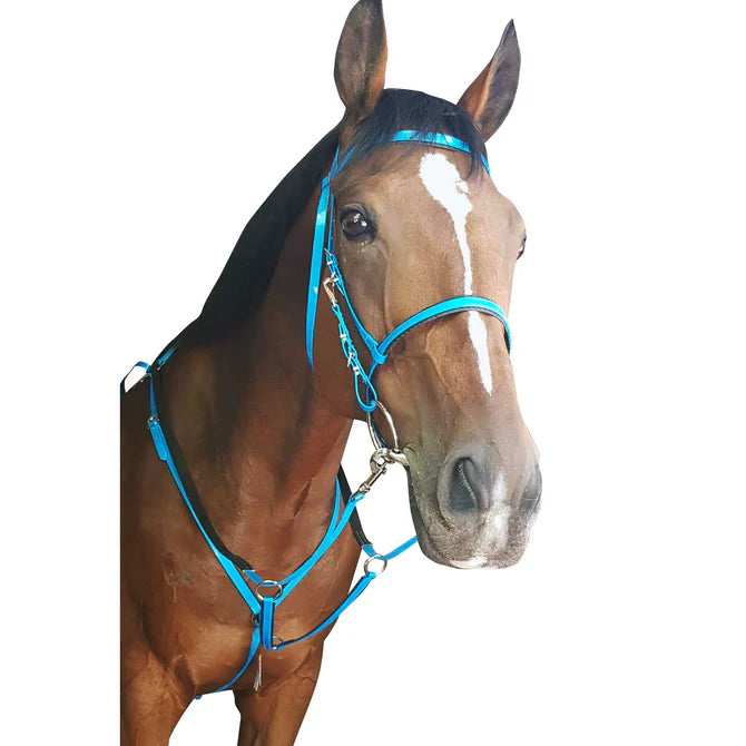 Endurance bridle and breast plate set solo american biothane Cob size