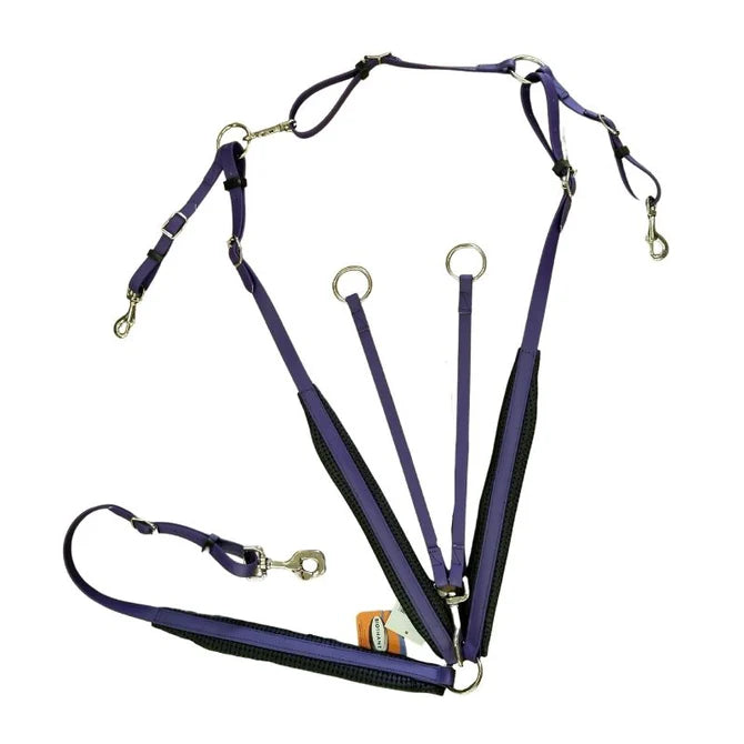 Breastplate endurance easy clip