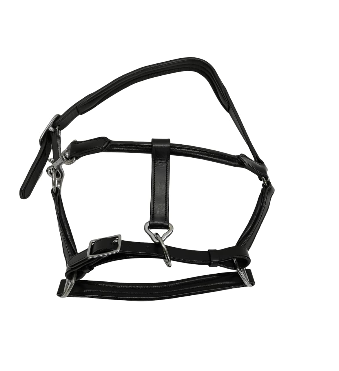 Equisport Show Halter leather Black with NP  Buckles