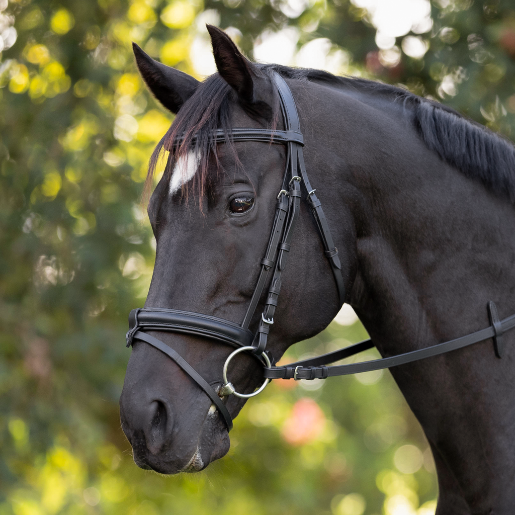Bridle - Capriole Badmington with Suregrip reins