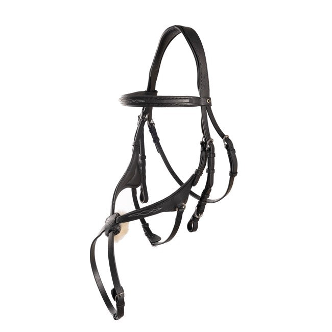 Bridle Capitol Prime Grackle Bridle