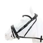 Bridle - Capriole Aintree with web reins