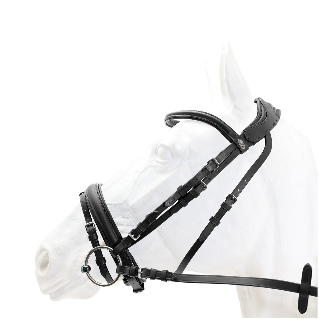 Bridle - Capriole Aintree with web reins