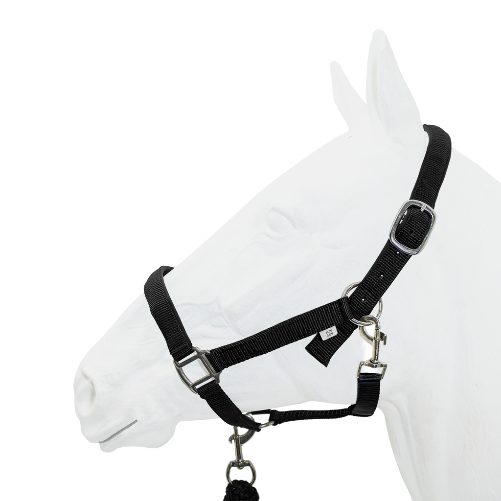 Halter Padded with Rope Lead, Equistyle Black
