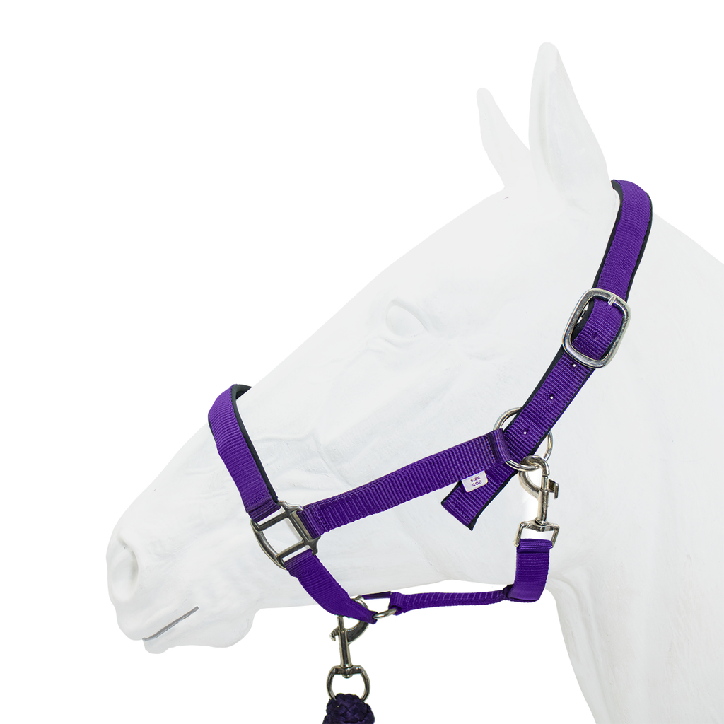 Halter Padded with Rope Lead Equistyle Purple