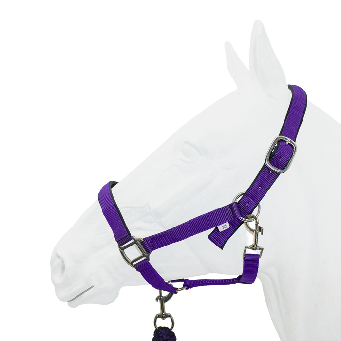 Halter Padded with Rope Lead Equistyle Purple