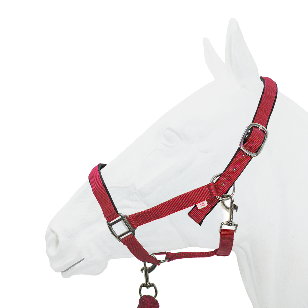 Halter Padded with Rope Lead Equistyle Red