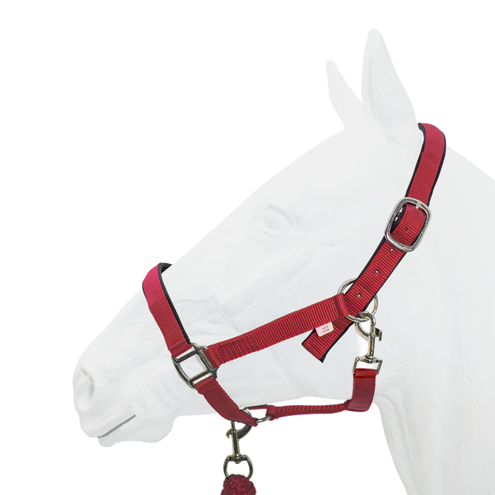 Halter Padded with Rope Lead Equistyle Red