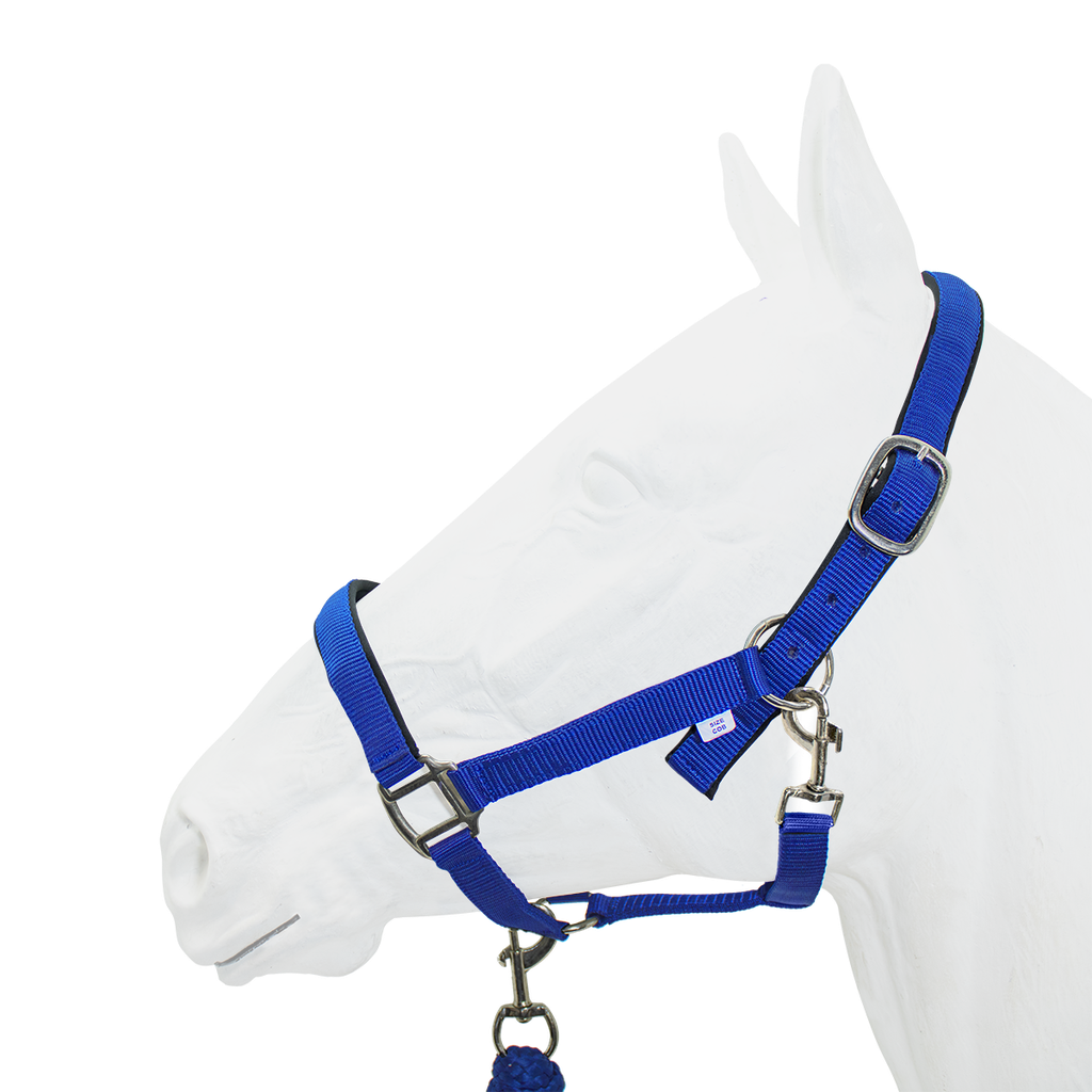 Halter Padded with Rope Lead Equistyle Royal
