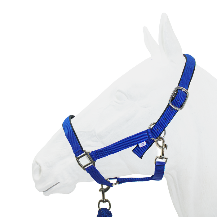 Halter Padded with Rope Lead Equistyle Royal