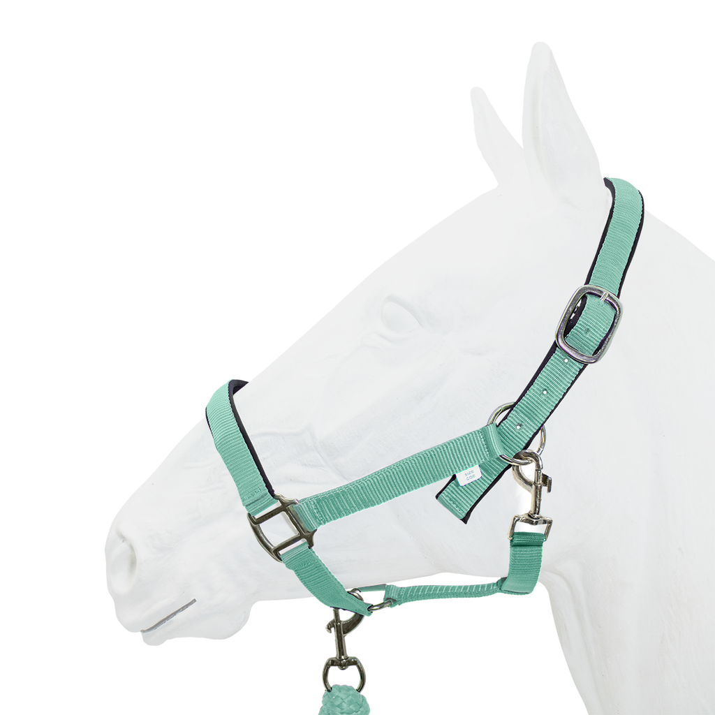 Halter Padded with Rope Lead Equistyle Teal