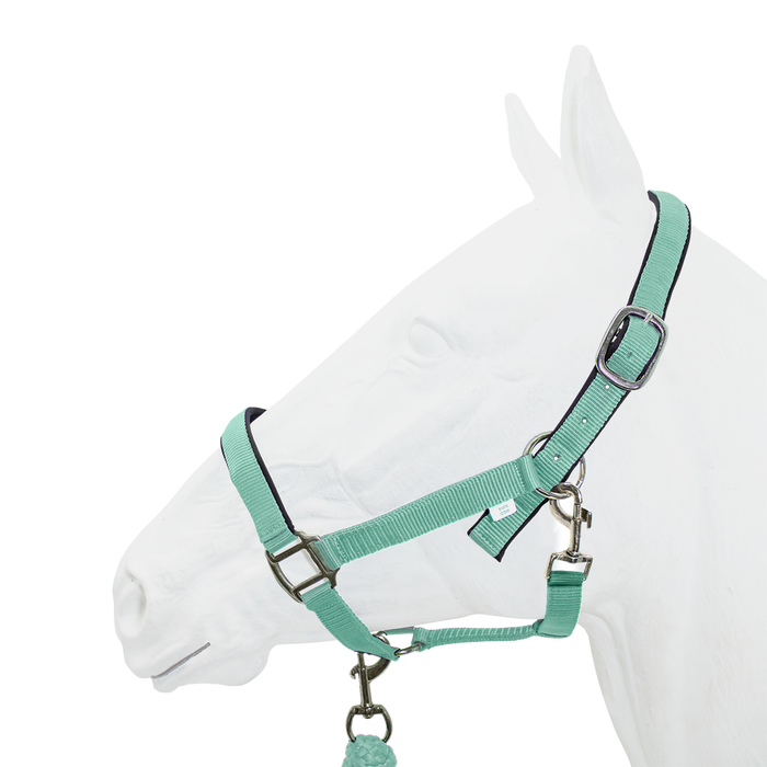Halter Padded with Rope Lead Equistyle Teal