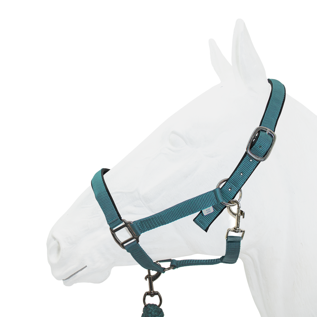Halter Padded with Rope Lead Equistyle Turquoise
