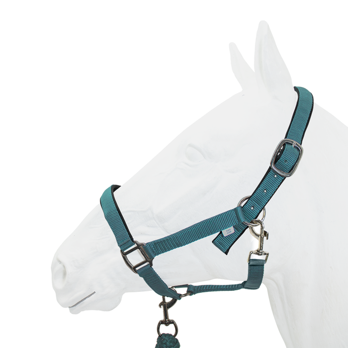 Halter Padded with Rope Lead Equistyle Turquoise