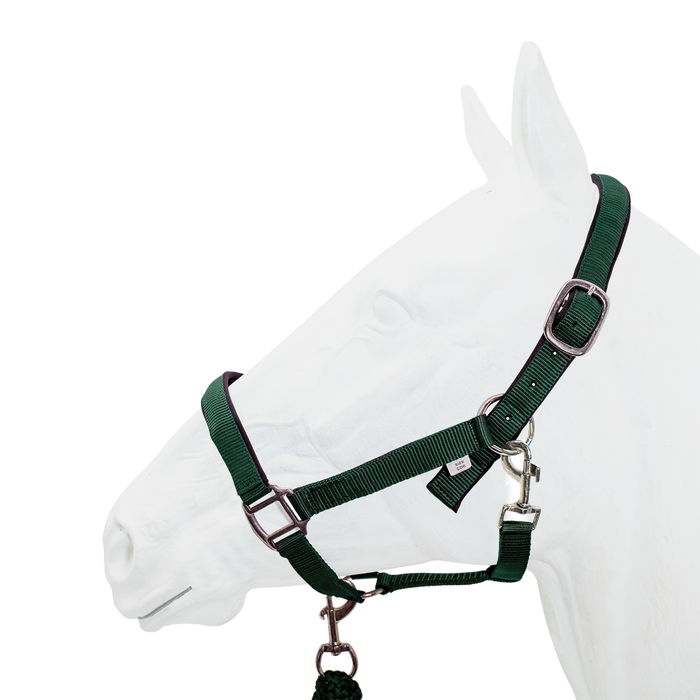 Halter Padded with Rope Lead, Equistyle