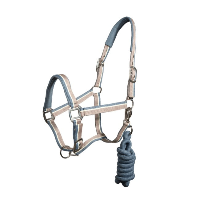 Halter Regus terry halter