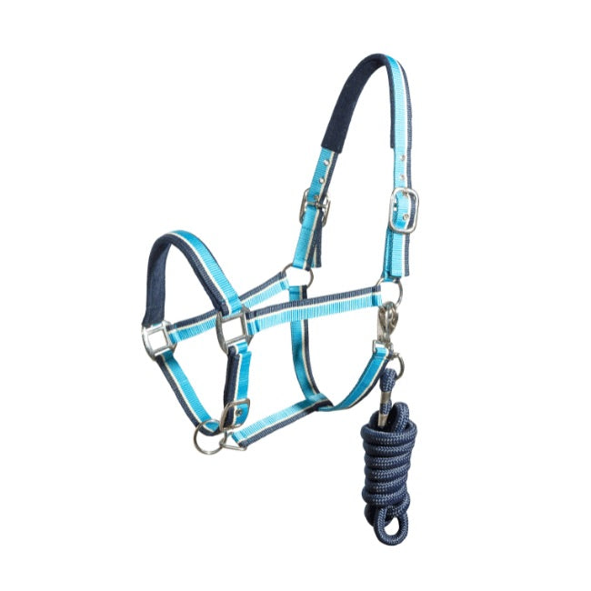 Halter Regus terry halter