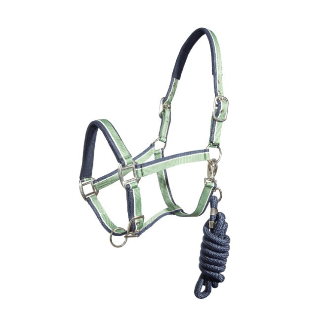 Halter Regus terry halter