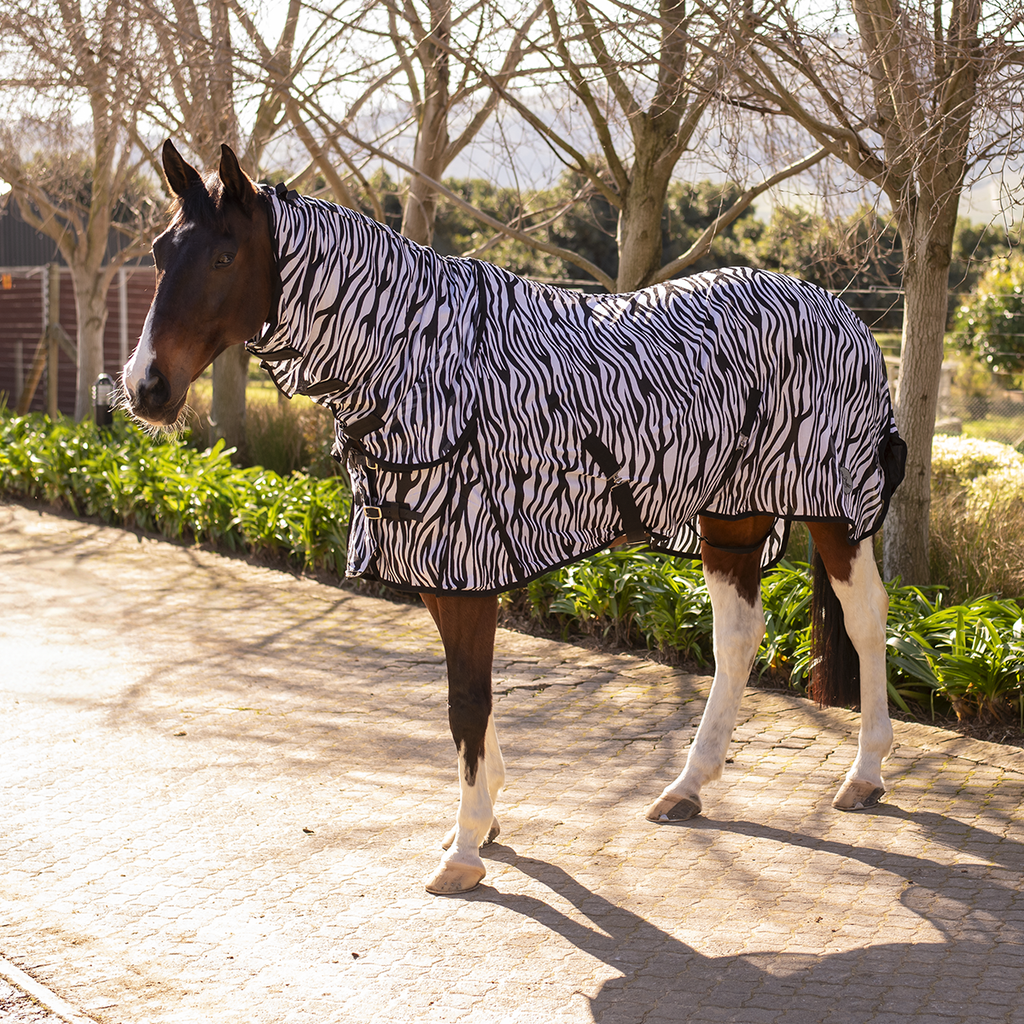 Ridepro Fly Sheet Combo With Hood Zebra Print