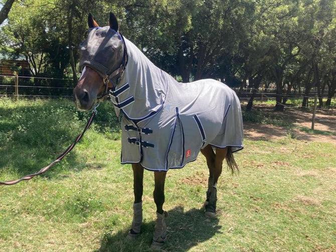 Fly sheet with a neck piece solo