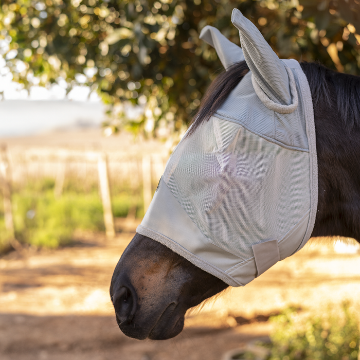 Equistyle fly mask with ears