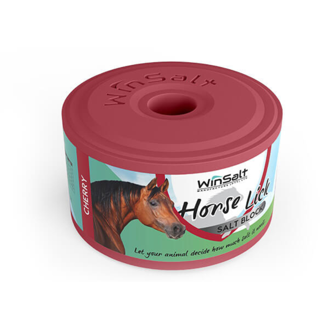 WinSalt Pure Salt Cherry Equine Lick 2kg